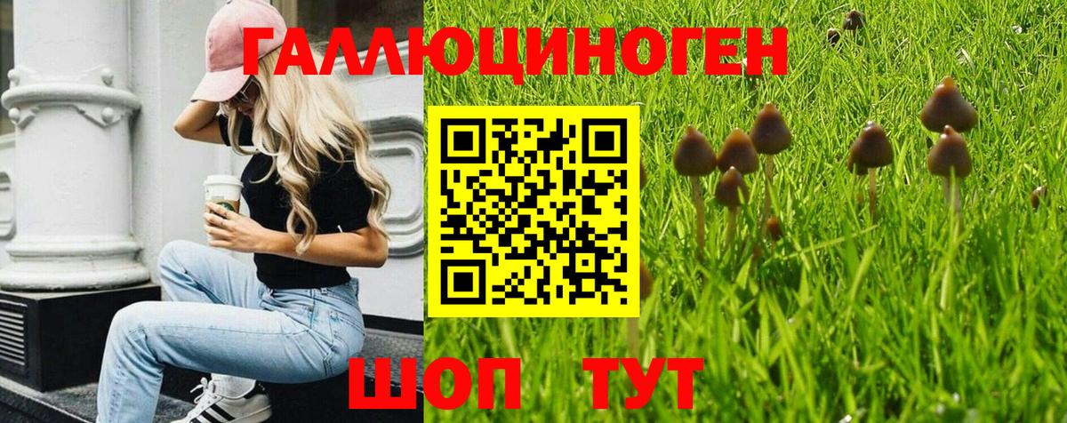 Галлюциногенные грибы Cubensis Тулун
